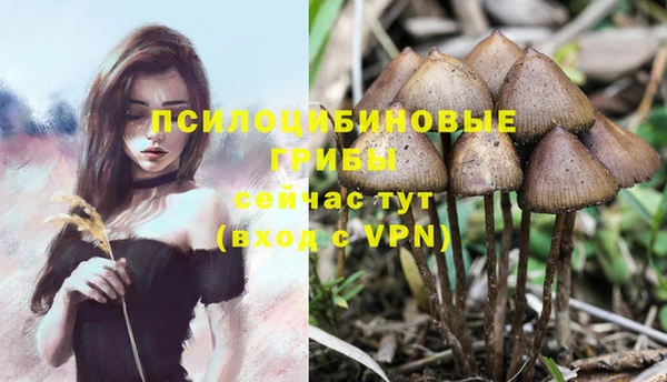 марки lsd Балахна